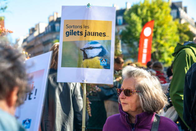 Environmental Activists Protest EU Pesticide Regulation - Paris Environmental organizations including Greenpeace, Cancer Colere, Collectif de soutien aux victimes des pesticides, Confédération paysanne, Avenir Sante Environnement and Medecins du Monde gather at Place de l Europe in Paris, France on October 10, 2026, to oppose the EU s proposed Omnibus X regulation that would extend pesticide approval durations, with activists warning the text would increase exposure to hazardous substances for humans, ecosystems, food and territories. Photo by ABACAPRESS.COM Copyright: xPrezatxDenis ABACAx