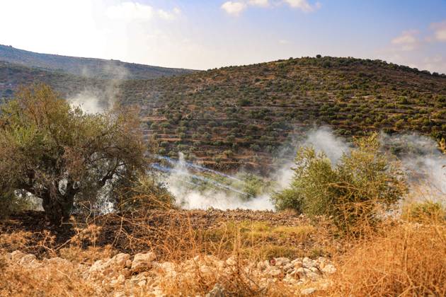 Israeli settlers and forces attack farmers during olive harvest in Deir Abu Mash™al DEIR ABU MASH™AL, PALESTINE OCTOBER 10, 2026: Palestinian farmers came under attack by Israeli settlers and Israeli forces as they headed to harvest olives on their land in Deir Abu Mash™al, northwest of Ramallah. The event marked the village™s first olive harvest gathering of the new season. The Palestine Red Crescent Society reported that its teams treated nine people injured during the incident. The injuries included one caused by live ammunition to the thigh, two caused by rubber-coated metal bullets, and six resulting from physical assault. One of those struck by a rubber-coated metal bullet was photojournalist Issam Al-Rimawi. The incident Copyright: x xSalmanxMohsenxAlkhatibx xJNAxPressx