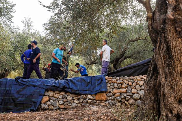 Israeli settlers and forces attack farmers during olive harvest in Deir Abu Mash™al DEIR ABU MASH™AL, PALESTINE OCTOBER 10, 2026: Palestinian farmers came under attack by Israeli settlers and Israeli forces as they headed to harvest olives on their land in Deir Abu Mash™al, northwest of Ramallah. The event marked the village™s first olive harvest gathering of the new season. The Palestine Red Crescent Society reported that its teams treated nine people injured during the incident. The injuries included one caused by live ammunition to the thigh, two caused by rubber-coated metal bullets, and six resulting from physical assault. One of those struck by a rubber-coated metal bullet was photojournalist Issam Al-Rimawi. The incident Copyright: x xSalmanxMohsenxAlkhatibx xJNAxPressx