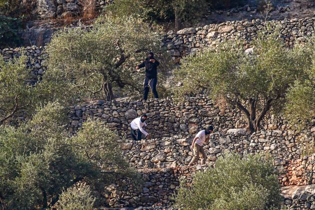 Israeli settlers and forces attack farmers during olive harvest in Deir Abu Mash™al DEIR ABU MASH™AL, PALESTINE OCTOBER 10, 2026: Palestinian farmers came under attack by Israeli settlers and Israeli forces as they headed to harvest olives on their land in Deir Abu Mash™al, northwest of Ramallah. The event marked the village™s first olive harvest gathering of the new season. The Palestine Red Crescent Society reported that its teams treated nine people injured during the incident. The injuries included one caused by live ammunition to the thigh, two caused by rubber-coated metal bullets, and six resulting from physical assault. One of those struck by a rubber-coated metal bullet was photojournalist Issam Al-Rimawi. The incident Copyright: x xSalmanxMohsenxAlkhatibx xJNAxPressx