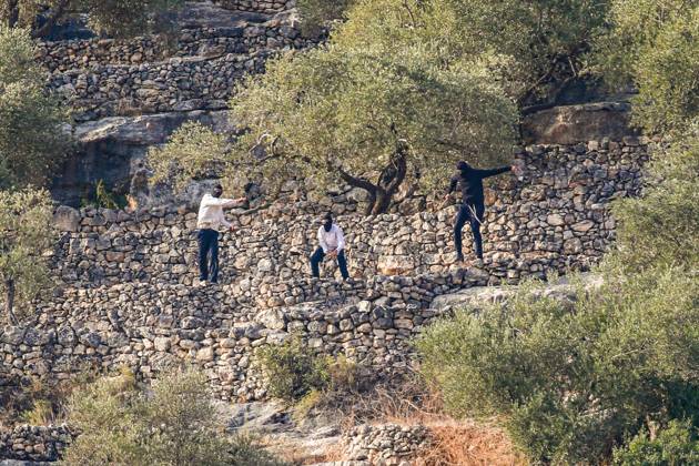 October 10, 2026, Ramallah: DEIR ABU MASHÃ¢â‚¬â ¢AL, PALESTINE Ã¢â‚¬ OCTOBER 10, 2026: Palestinian farmers came under attack by Israeli settlers and Israeli forces as they headed to harvest olives on their land in Deir Abu MashÃ¢â‚¬â ¢al, northwest of Ramallah. The event marked the villageÃ¢â‚¬â ¢s first olive harvest gathering of the new season. The Palestine Red Crescent Society reported that its teams treated nine people injured during the incident. The injuries included one caused by live ammunition to the thigh, two caused by rubber-coated metal bullets, and six resulting from physical assault. One of those struck by a rubber-coated metal bullet was photojournalist Issam Al-Rimawi. The incident occurred during the annual olive harve  - ZUMAq101 20261010_zna_q101_072 Copyright: xSalmanxMohsenxAlkhatibx