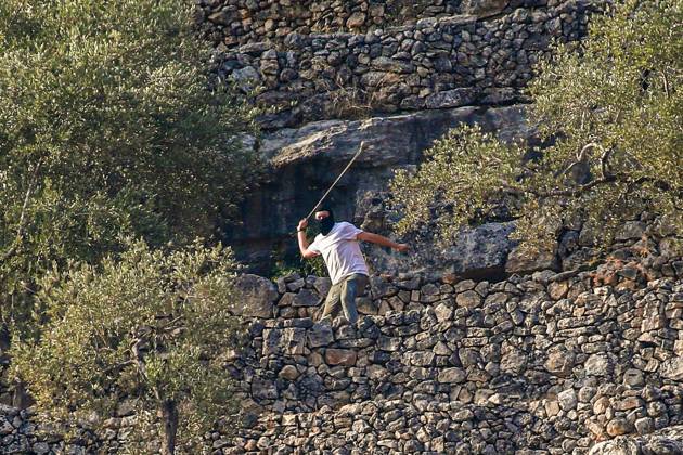 October 10, 2026, Ramallah: DEIR ABU MASHÃ¢â‚¬â ¢AL, PALESTINE Ã¢â‚¬ OCTOBER 10, 2026: Palestinian farmers came under attack by Israeli settlers and Israeli forces as they headed to harvest olives on their land in Deir Abu MashÃ¢â‚¬â ¢al, northwest of Ramallah. The event marked the villageÃ¢â‚¬â ¢s first olive harvest gathering of the new season. The Palestine Red Crescent Society reported that its teams treated nine people injured during the incident. The injuries included one caused by live ammunition to the thigh, two caused by rubber-coated metal bullets, and six resulting from physical assault. One of those struck by a rubber-coated metal bullet was photojournalist Issam Al-Rimawi. The incident occurred during the annual olive harve  - ZUMAq101 20261010_zna_q101_073 Copyright: xSalmanxMohsenxAlkhatibx