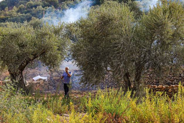 October 10, 2026, Ramallah: DEIR ABU MASHÃ¢â‚¬â ¢AL, PALESTINE Ã¢â‚¬ OCTOBER 10, 2026: Palestinian farmers came under attack by Israeli settlers and Israeli forces as they headed to harvest olives on their land in Deir Abu MashÃ¢â‚¬â ¢al, northwest of Ramallah. The event marked the villageÃ¢â‚¬â ¢s first olive harvest gathering of the new season. The Palestine Red Crescent Society reported that its teams treated nine people injured during the incident. The injuries included one caused by live ammunition to the thigh, two caused by rubber-coated metal bullets, and six resulting from physical assault. One of those struck by a rubber-coated metal bullet was photojournalist Issam Al-Rimawi. The incident occurred during the annual olive harve - ZUMAq101 20261010_zna_q101_056 Copyright: xSalmanxMohsenxAlkhatibx