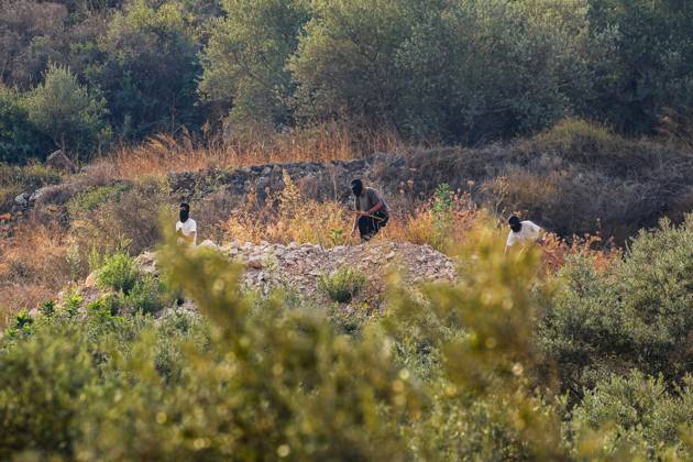 October 10, 2026, Ramallah: DEIR ABU MASHÃ¢â‚¬â ¢AL, PALESTINE Ã¢â‚¬ OCTOBER 10, 2026: Palestinian farmers came under attack by Israeli settlers and Israeli forces as they headed to harvest olives on their land in Deir Abu MashÃ¢â‚¬â ¢al, northwest of Ramallah. The event marked the villageÃ¢â‚¬â ¢s first olive harvest gathering of the new season. The Palestine Red Crescent Society reported that its teams treated nine people injured during the incident. The injuries included one caused by live ammunition to the thigh, two caused by rubber-coated metal bullets, and six resulting from physical assault. One of those struck by a rubber-coated metal bullet was photojournalist Issam Al-Rimawi. The incident occurred during the annual olive harve - ZUMAq101 20261010_zna_q101_066 Copyright: xSalmanxMohsenxAlkhatibx