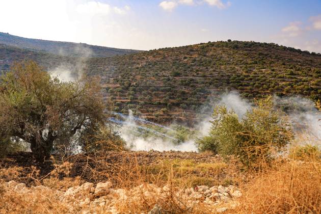 October 10, 2026, Ramallah: DEIR ABU MASHÃ¢â‚¬â ¢AL, PALESTINE Ã¢â‚¬ OCTOBER 10, 2026: Palestinian farmers came under attack by Israeli settlers and Israeli forces as they headed to harvest olives on their land in Deir Abu MashÃ¢â‚¬â ¢al, northwest of Ramallah. The event marked the villageÃ¢â‚¬â ¢s first olive harvest gathering of the new season. The Palestine Red Crescent Society reported that its teams treated nine people injured during the incident. The injuries included one caused by live ammunition to the thigh, two caused by rubber-coated metal bullets, and six resulting from physical assault. One of those struck by a rubber-coated metal bullet was photojournalist Issam Al-Rimawi. The incident occurred during the annual olive harve - ZUMAq101 20261010_zna_q101_079 Copyright: xSalmanxMohsenxAlkhatibx