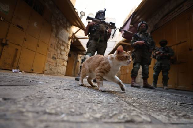 Israeli settlers enter Hebron Old City under military protection HEBRON, OCCUPIED WEST BANK, OCTOBER 10, 2026: Israeli settlers enter Hebron s Old City under the protection of Israeli forces during an organized visit to the area. Israeli soldiers deployed along streets and around the group as settlers moved through the Old City, where Israeli settlers and Palestinian residents live in close proximity amid longstanding tensions and movement restrictions. HEBRON Palestine, State of Copyright: x xMosabxshawerx xJNAxPressx