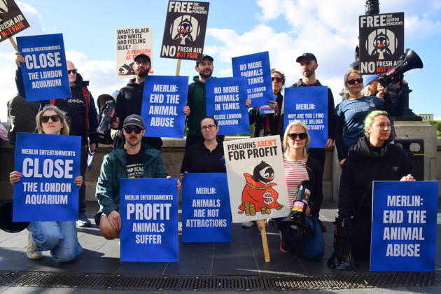 October 10, 2026, London, England, United Kingdom: Animal rights activists gather outside Sea Life demanding freedom for the gentoo penguins kept at the aquarium, and other captive animals. The penguins are kept in a dark, artificial exhibit in the basement of the aquarium and reportedly never see the outdoors. London United Kingdom - ZUMAv130 20261010_zip_v130_065 Copyright: xVukxValcicx