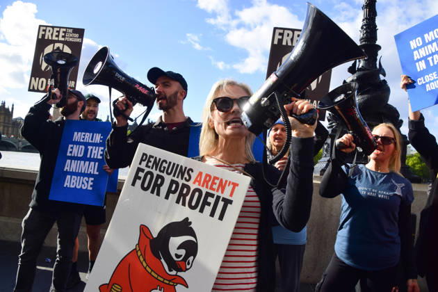 October 10, 2026, London, England, United Kingdom: Animal rights activists gather outside Sea Life demanding freedom for the gentoo penguins kept at the aquarium, and other captive animals. The penguins are kept in a dark, artificial exhibit in the basement of the aquarium and reportedly never see the outdoors. London United Kingdom - ZUMAv130 20261010_zip_v130_066 Copyright: xVukxValcicx