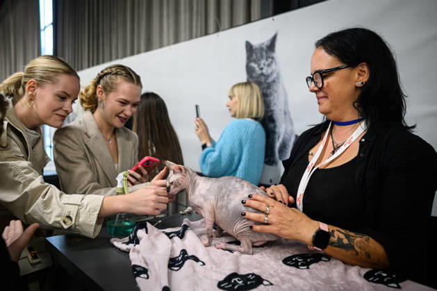 2026 WCF Jubilee Cat Show - Day 1 Owner holds her cat during the day one of 2026 WCF Jubilee Cat Show in Zagreb, Croatia on October 10, 2026. DavorxPuklavec PIXSELL