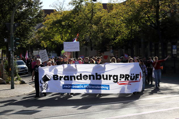 Demonstranten laufen mit Banner Brandenburg Prüf! in der Dortustraße während einer Demonstration für die Überprüfung rechtsextremer Parteien durch das Bundesverfassungsgericht, Potsdam, 10. Oktober 2026. Prüf-Demo in Potsdam