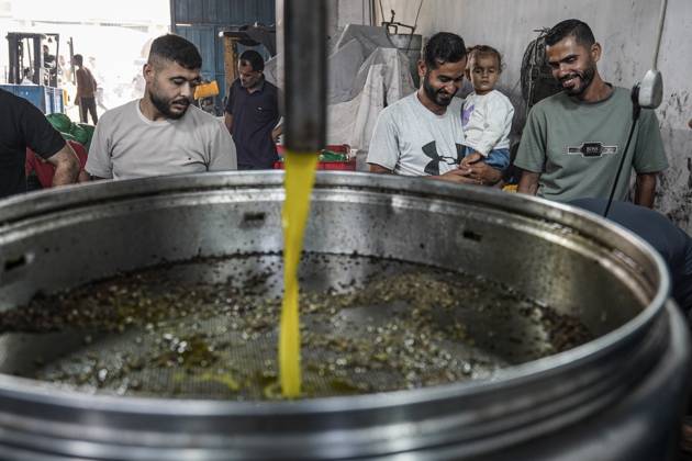 Olive harvest in Gaza despite destruction and access restrictions GAZA STRIP, GAZA, PALESTINE - OCTOBER 11: Olive oil flows during the production process at an olive press facility west of Al-Zawayda in the Gaza Strip, Gaza, Palestine, on October 11, 2026. Palestinian farmers harvest olives from the few trees left standing after Israeli attacks caused extensive damage to agricultural land across the territory, while access to fields in areas designated as the Yellow Line remains restricted. Adam Bilal Anadolu Gaza Gaza. Editorial use only. Please get in touch for any other usage.  Copyright: x2026xAnadoluxAdamxBilalx