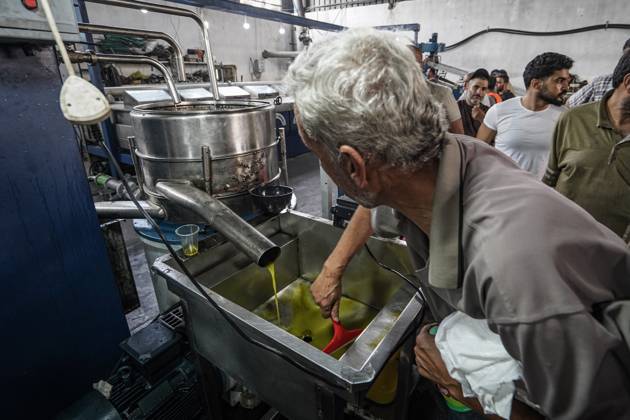 Olive harvest in Gaza despite destruction and access restrictions GAZA STRIP, GAZA, PALESTINE - OCTOBER 11: People work at an olive press facility west of Al-Zawayda as olive oil production continues in the Gaza Strip, Palestine, on October 11, 2026. Palestinian farmers harvest olives from the few trees left standing after Israeli attacks caused extensive damage to agricultural land across the territory, while access to fields in areas designated as the Yellow Line remains restricted. Adam Bilal Anadolu Gaza Gaza. Editorial use only. Please get in touch for any other usage. Copyright: x2026xAnadoluxAdamxBilalx