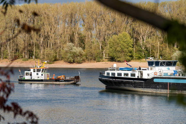 Havarierter Tanker mit 250 Tonnen Wasserstoff frei vierte Festfahrung auf dem Rhein Begleitung durch WSA und Wasserschutzpolizei Am 11.10.2026 gegen 07:00 Uhr fuhr sich ein Tankmotorschiff auf dem Rhein bei Ludwigshöhe in Höhe von Rheinkilometer 474,00 fest. Das Schiff war mit 250 Tonnen Wasserstoff beladen, auf Talfahrt und kam an der linksrheinischen Seite der Fahrrinne fest. Es war die vierte Festfahrung von Großfahrzeugen in diesem Bereich seit dem Vormittag des 10.10.2026. Im Laufe des Nachmittags befreite sich das Schiff, fuhr zunächst weiter nach Nierstein, wendete dort und fuhr zurück, begleitet von einem Arbeitsschiff des WSA Rhein und der Wasserschutzpolizei. Nierstein BWS Rhein Rheinland-Pfalz Deutschland