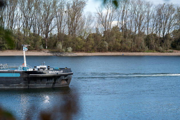 Havarierter Tanker mit 250 Tonnen Wasserstoff frei vierte Festfahrung auf dem Rhein Begleitung durch WSA und Wasserschutzpolizei Am 11.10.2026 gegen 07:00 Uhr fuhr sich ein Tankmotorschiff auf dem Rhein bei Ludwigshöhe in Höhe von Rheinkilometer 474,00 fest. Das Schiff war mit 250 Tonnen Wasserstoff beladen, auf Talfahrt und kam an der linksrheinischen Seite der Fahrrinne fest. Es war die vierte Festfahrung von Großfahrzeugen in diesem Bereich seit dem Vormittag des 10.10.2026. Im Laufe des Nachmittags befreite sich das Schiff, fuhr zunächst weiter nach Nierstein, wendete dort und fuhr zurück, begleitet von einem Arbeitsschiff des WSA Rhein und der Wasserschutzpolizei. Nierstein BWS Rhein Rheinland-Pfalz Deutschland