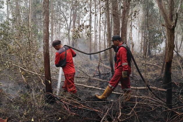 Firefighters battle forest fire in Central Kalimantan PALANGKA RAYA, CENTRAL KALIMANTAN, INDONESIA, OCTOBER 11, 2026: Members of Indonesia s Manggala Agni forest fire brigade work to extinguish a forest fire in the Sebangau area of Palangka Raya, Central Kalimantan. The firefighting team has been responding to fires affecting forests and community land in the region during the dry season. kalimantan Indonesia Copyright: x xReginaxSafrix xJNAxPressx