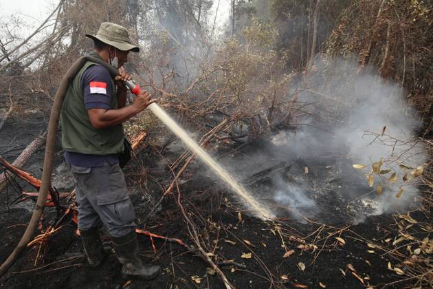Firefighters battle forest fire in Central Kalimantan PALANGKA RAYA, CENTRAL KALIMANTAN, INDONESIA, OCTOBER 11, 2026: Members of Indonesia s Manggala Agni forest fire brigade work to extinguish a forest fire in the Sebangau area of Palangka Raya, Central Kalimantan. The firefighting team has been responding to fires affecting forests and community land in the region during the dry season. kalimantan Indonesia Copyright: x xReginaxSafrix xJNAxPressx