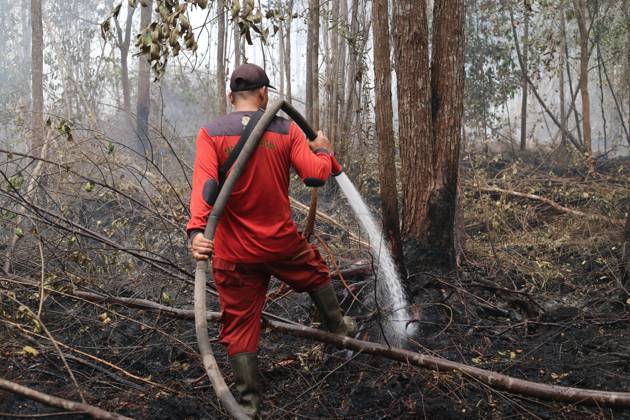 Firefighters battle forest fire in Central Kalimantan PALANGKA RAYA, CENTRAL KALIMANTAN, INDONESIA, OCTOBER 11, 2026: Members of Indonesia s Manggala Agni forest fire brigade work to extinguish a forest fire in the Sebangau area of Palangka Raya, Central Kalimantan. The firefighting team has been responding to fires affecting forests and community land in the region during the dry season. kalimantan Indonesia Copyright: x xReginaxSafrix xJNAxPressx