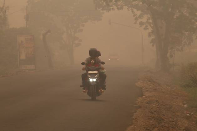 October 11, 2026, Kalimantan, Indonesia: PALANGKA RAYA, CENTRAL KALIMANTAN, INDONESIA, OCTOBER 11, 2026: Members of Indonesia s Manggala Agni forest fire brigade work to extinguish a forest fire in the Sebangau area of Palangka Raya, Central Kalimantan. The firefighting team has been responding to fires affecting forests and community land in the region during the dry season. Kalimantan Indonesia - ZUMAq101 20261011_zna_q101_117 Copyright: xReginaxSafrix