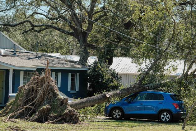 October 11, 2026, Pensacola, Florida, U.S: October 11, 2026 Pensacola, Florida USA: A fallen over tree sits on top of a car after the arrival of Hurricane Isaias. Pensacola U.S - ZUMAa14_ 20261011_zaf_a14_013 Copyright: xDanxAndersonx