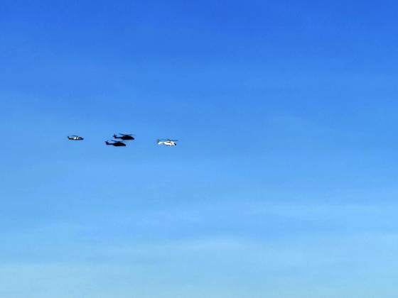 Airplanes attending a military parade during the known as Dia de la Hispanidad, Spain s National Day, in Madrid, on Monday 12, October 2026. Cordon Press 