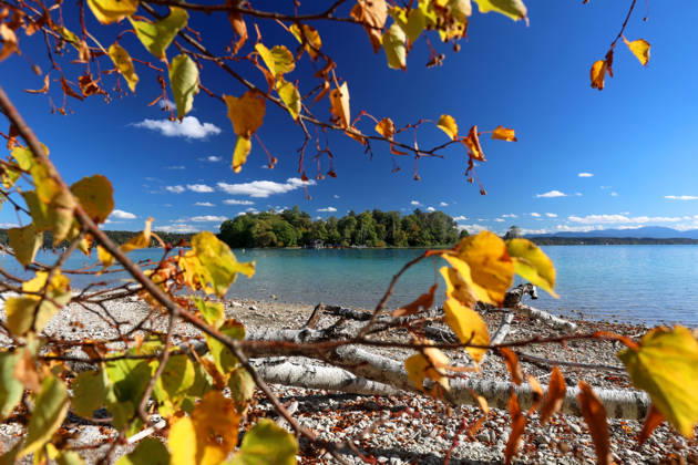 Ein Herbsttag in Feldafing, Feldafinger Park (Landkreis Starnberg). Hier der Blick auf den Starnberger See mit der Roseninsel und gefärbte Bäume, Laubfärbung, Laubbaum, herbstlich, Farbenspiel, Herbstlaub, Herbstfärbung, Blattfärbung, rot, gelb, rotes Laub, gelbes Laub, Naturschauspiel ,Herbstbild, Herbstimpression, Wetterbild ,goldener Oktober