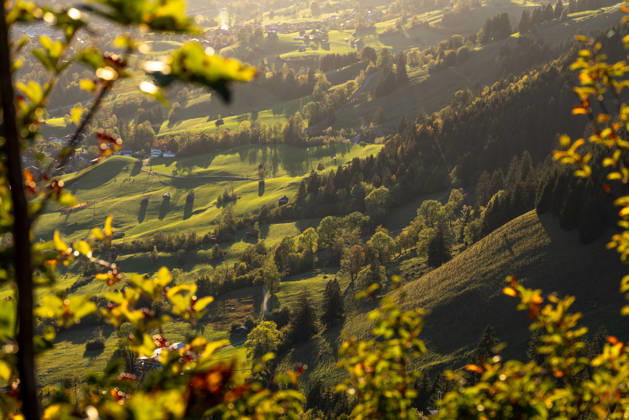 Herbstabend im Allgäu Die Abendsonne scheint auf die Herbstlandschaft bei Bad Hindelang., Bad Hindelang Bayern Deutschland