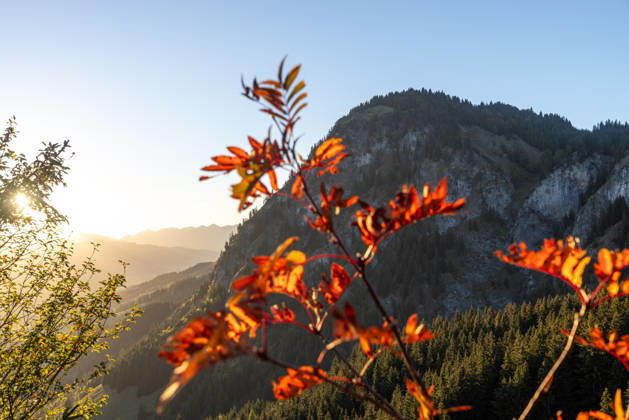 Herbstabend im Allgäu Blick in die Abendsonne in den bayerischen Alpen bei Oberjoch., Bad Hindelang Bayern Deutschland