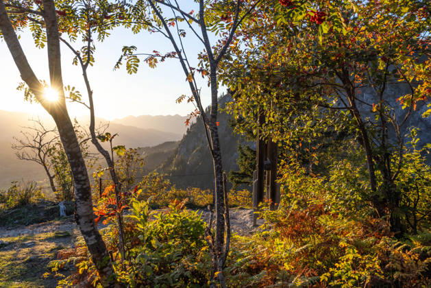 Herbstabend im Allgäu Blick in die Abendsonne in den bayerischen Alpen bei Oberjoch., Bad Hindelang Bayern Deutschland