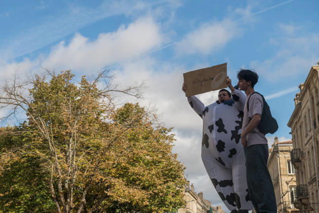 High School Stdent Mobilisation - Bordeaux A protester wearing a cow costume holds up a placard beside another participant during Act V of the high school student mobilisation in Bordeaux, France on October 13, 2026, protesting against education reforms. Photo by Fabrice Sapte ABACAPRESS.COM Bordeaux France  Copyright: xSaptexFabrice ABACAx