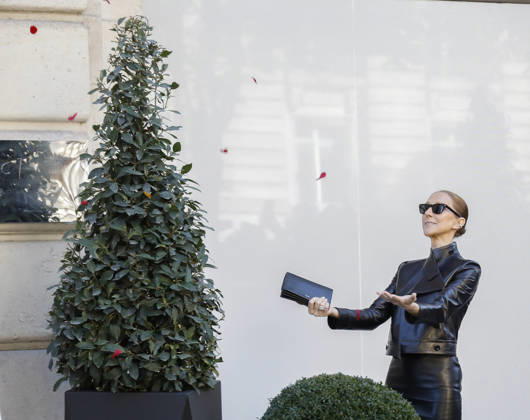 Céline Dion greets her fans as she leaves theRoyal Monceau Hotel in Paris before heading to the La Plénitude Arena at Paris La Défense to continue her concert series on October 14, 2026 Marc Ausset Lacroix Bestimage Céline Dion greets fans as she leaves the Royal Monceau Hotel in Paris before heading to the La Plénitude Arena at Paris La Défense to continue her concert series on October 14, 2026, Paris, France  Copyright: xMarcxAussetxLacroixx xBestimagexMarcxAussetxLacroixx xBestimagex