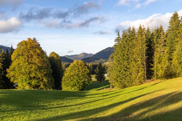 Herbstabend im Allgäu Abendstimmung bei Oberjoch im Allgäu., Bad Hindelang Bayern Deutschland