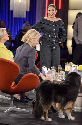 ABB KOELNERTREFF- Tuelin Sezgin deutsche Webvideoproduzentin Susann Link mit Hund im Studio zu Gast in der WDR Talkshow Koelner Treff aus dem Studio Boecklemuend am 16.10.2026 in Koeln Hamburg Deutschland