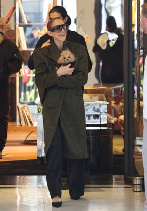 Céline Dion leaves the Royal Monceau hotel with her sons Nelson and Eddy and her dog the day after her final concert in Paris on October 19, 2026. Cyril Moreau, Bestimage. Céline Dion leaves the Royal Monceau hotel with her sons Nelson and Eddy and her dog, the day after her final concert in Paris on October 19, 2026, Paris, France  Copyright: xCYRILxMOREAUx xBESTIMAGExCYRILxMOREAUx xBESTIMAGEx