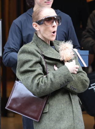 Céline Dion leaves the Royal Monceau hotel with her sons Nelson and Eddy and her dog the day after her final concert in Paris on October 19, 2026. Cyril Moreau, Bestimage. Céline Dion leaves the Royal Monceau hotel with her sons Nelson and Eddy and her dog, the day after her final concert in Paris on October 19, 2026, Paris, France  Copyright: xCYRILxMOREAUx xBESTIMAGExCYRILxMOREAUx xBESTIMAGEx