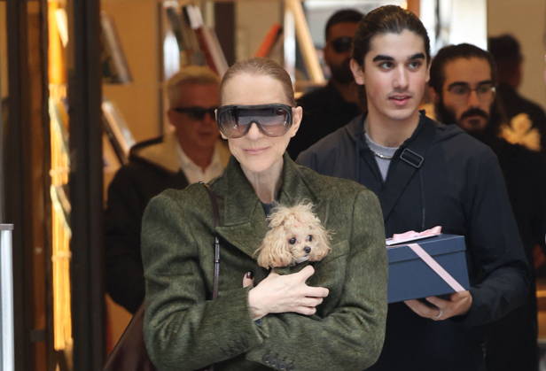 Céline Dion leaves the Royal Monceau hotel with her sons Nelson and Eddy and her dog the day after her final concert in Paris on October 19, 2026. Cyril Moreau, Bestimage. Céline Dion leaves the Royal Monceau hotel with her sons Nelson and Eddy and her dog, the day after her final concert in Paris on October 19, 2026, Paris, France  Copyright: xCYRILxMOREAUx xBESTIMAGExCYRILxMOREAUx xBESTIMAGEx