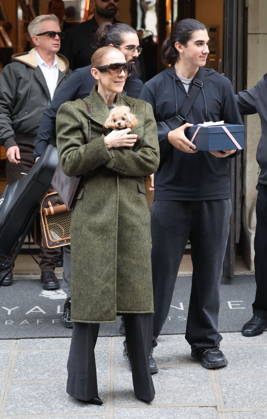 Céline Dion leaves the Royal Monceau hotel with her sons Nelson and Eddy and her dog the day after her final concert in Paris on October 19, 2026. Cyril Moreau, Bestimage. Céline Dion leaves the Royal Monceau hotel with her sons Nelson and Eddy and her dog, the day after her final concert in Paris on October 19, 2026, Paris, France  Copyright: xCYRILxMOREAUx xBESTIMAGExCYRILxMOREAUx xBESTIMAGEx