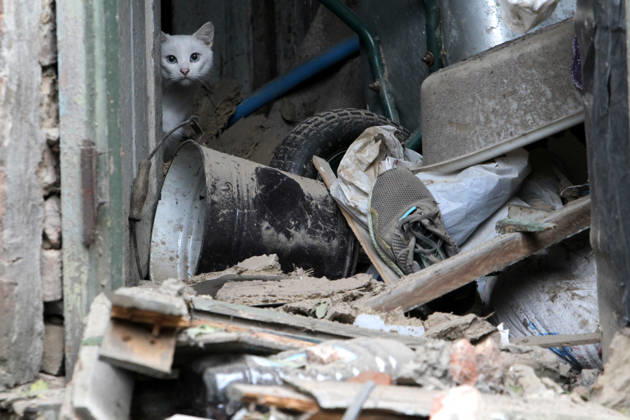 Russian troops hit Dnipro with guided bombs A white cat peeks out from behind a door in a building damaged by a Russian bombardment in Dnipro, Ukraine, on October 19, 2026. On Monday morning, Russian forces launched guided aerial bombs at the eastern city, damaging private homes and infrastructure. An 84-year-old woman was hospitalised in moderate condition. Dnipro Ukraine Copyright: xMykolaxMiakshykovx originalFilename: ukrinform-russiant261019_nplij
