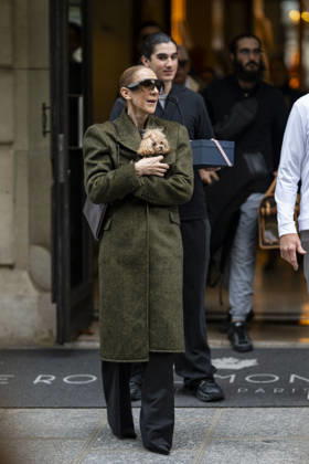 Céline Dion, accompanied by her sons Eddy and Nelson Angelil, leaves the Royal Monceau hotel for La Plenitude Arena in Paris after 16 concerts over five weeks in front of nearly 500,000 people, on October 19, 2026. Holding her dog, Madison, in her arms, the Canadian singer waved one last time to her fans gathered in front of the hotel. She will return to the Paris La Défense Arena for 10 special concerts from May 8 to 29, 2027. Pierre Perusseau Bestimage Céline Dion, accompanied by her sons Eddy and Nelson Angelil, leaves the Royal Monceau luxury hotel in Paris on October 19, 2026, following 16 concerts over five weeks performed before nearly 500,000 people. Holding her dog, Madison, in her arms, the Canadian singer waved one last time to Copyright: xPierrexPerusseaux xBestimagexPierrexPerusseaux xBestimagex